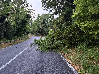 Pesaro - Maltempo, 30 interventi della Provincia nelle strade